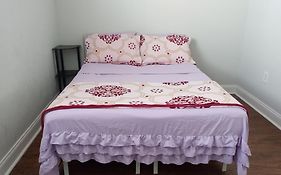 Rooster Hostel
